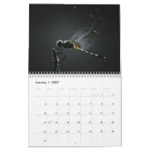 Calendrier Dragonfly 2027 (Jan 2027)