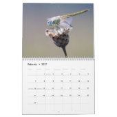 Calendrier Dragonfly 2027 (Feb 2027)