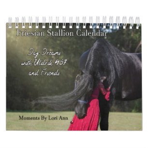 Calendrier Dream Day avec Uldrik 457 et ses amis