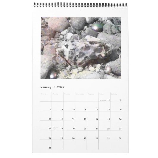 Calendrier DreamLandscapes 2011 (Jan 2027)