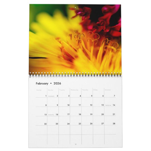 Calendrier Dreamy whimsical flowers 2026 custom calendar (Feb 2026)