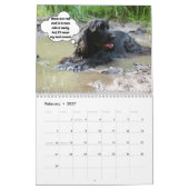 Calendrier Drôle chien coquin (Feb 2027)