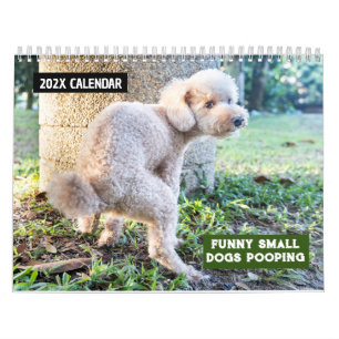 Calendrier Drôle Chiens Petits Pooping 2025