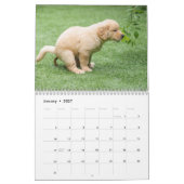 Calendrier Drôle Chiens Petits Pooping 2026 (Jan 2027)