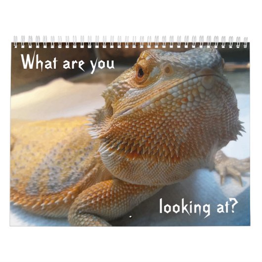 Calendrier DRÔLE impressionnant pour 2019 (Protection)