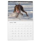 Calendrier DT 2024 (Jan 2027)