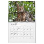 Calendrier du Bengale (Feb 2027)