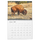 Calendrier du Bison d'Amérique 2027 (Jan 2027)