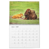 Calendrier du Bison d'Amérique 2027 (Mar 2027)