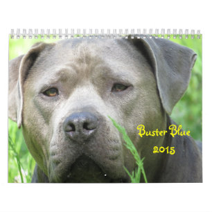 Calendrier du bleu 2015 de type