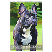 CALENDRIER DU BOULEDOGUE 2015 FRANÇAIS (Protection)