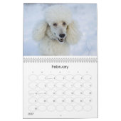 Calendrier du caniche 2011 standard (Feb 2027)