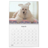Calendrier du caniche 2011 standard (Mar 2026)