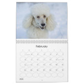 Calendrier du caniche 2011 standard (Feb 2026)
