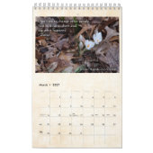 Calendrier du Cedar Rapids Zen Center 2020 (Mar 2027)