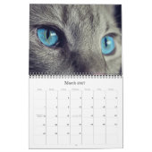 Calendrier du chat 2018 et du chaton (Mar 2027)