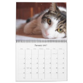 Calendrier du chat 2018 et du chaton (Jan 2027)
