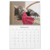 Calendrier du chat 2018 et du chaton (Feb 2027)