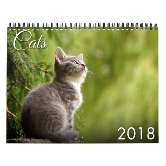 Calendrier du chat 2018 et du chaton (Protection)