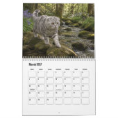 Calendrier du chat Scottish Fold (Mar 2027)
