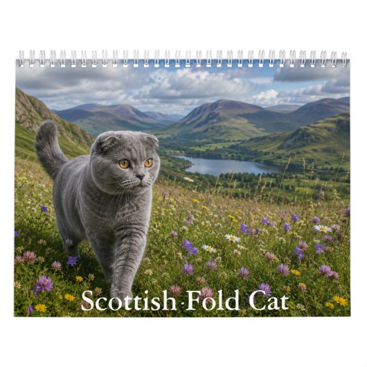 Calendrier du chat Scottish Fold (Protection)