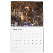 Calendrier du Chesapeake Bay Retriever 2026 (Feb 2027)