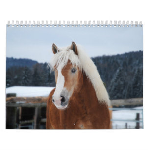 Calendrier du cheval