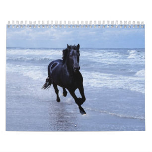 Calendrier du cheval