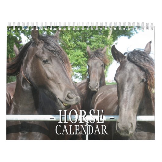 Calendrier du cheval (Protection)