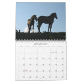 Calendrier du cheval (Jan 2027)