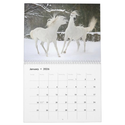 Calendrier du cheval (Jan 2026)