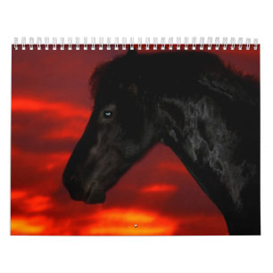 Calendrier du cheval