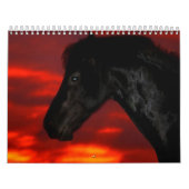 Calendrier du cheval (Protection)