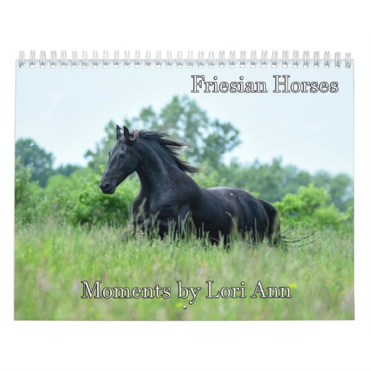 Calendrier du cheval friésien par moment Par Lori  (Protection)