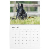 Calendrier du cheval friésien Psaume 23 (Mar 2027)