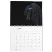 Calendrier du cheval friésien Psaume 23 (Jan 2027)