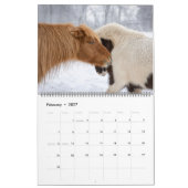 Calendrier du cheval islandais 2026 (Feb 2027)