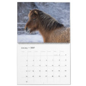Calendrier du cheval islandais 2026 (Jan 2027)