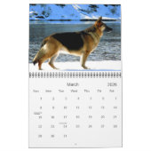 Calendrier du chien de berger allemand 2013 (Mar 2026)