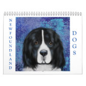 CALENDRIER DU CHIEN TERRE-NEUVE (Protection)