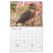 Calendrier du club 2012 de WSU Raptor (Feb 2026)