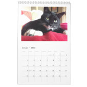 Calendrier du club vol. 2 de chat noir (Jan 2026)