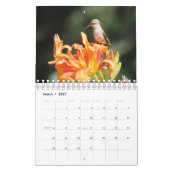 Calendrier du colibri 2026 (Mar 2027)