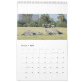 Calendrier du comportement des éléphants (Jan 2027)