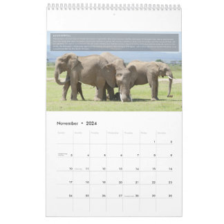 Calendrier du comportement des éléphants