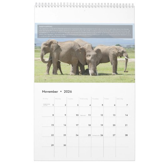 Calendrier du comportement des éléphants (Nov 2026)