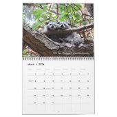 Calendrier du concours de photos Dave's Garden 202 (Mar 2026)