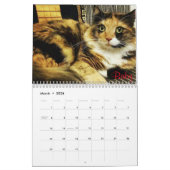 Calendrier du concours iCat Forever (Mar 2026)