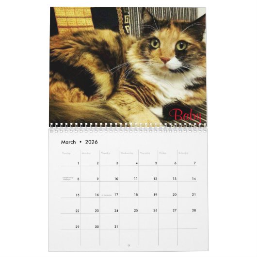 Calendrier du concours iCat Forever (Mar 2026)