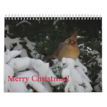 Calendrier du coucher de soleil 2025